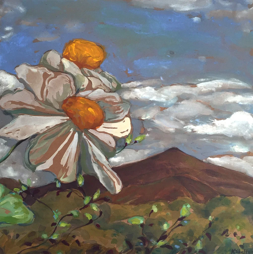 Matilija Poppies