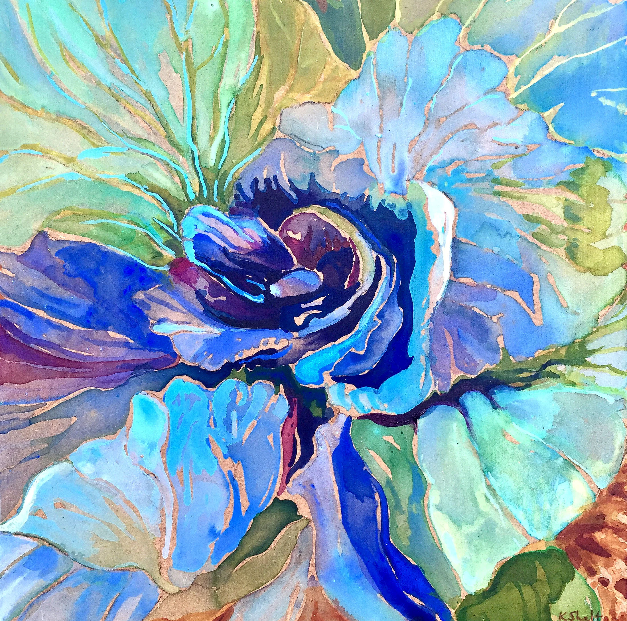 Cabbage