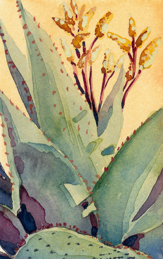 Aloe Merlothii
