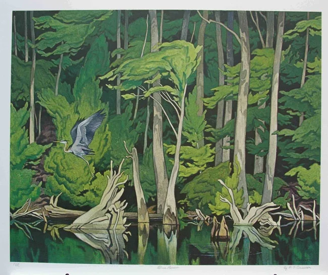 Love love love everything about this one. In particular the density of the forest, transition from light to dark, and the simplicity of the tree trunks and how the foliage is casting shadows on them