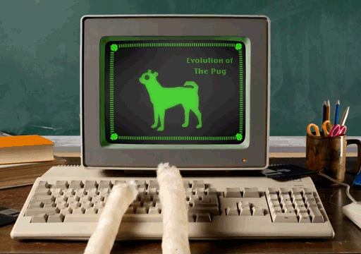 Book Of Dog - TOPIC (Stop-motion animation compositing and digital VFX)