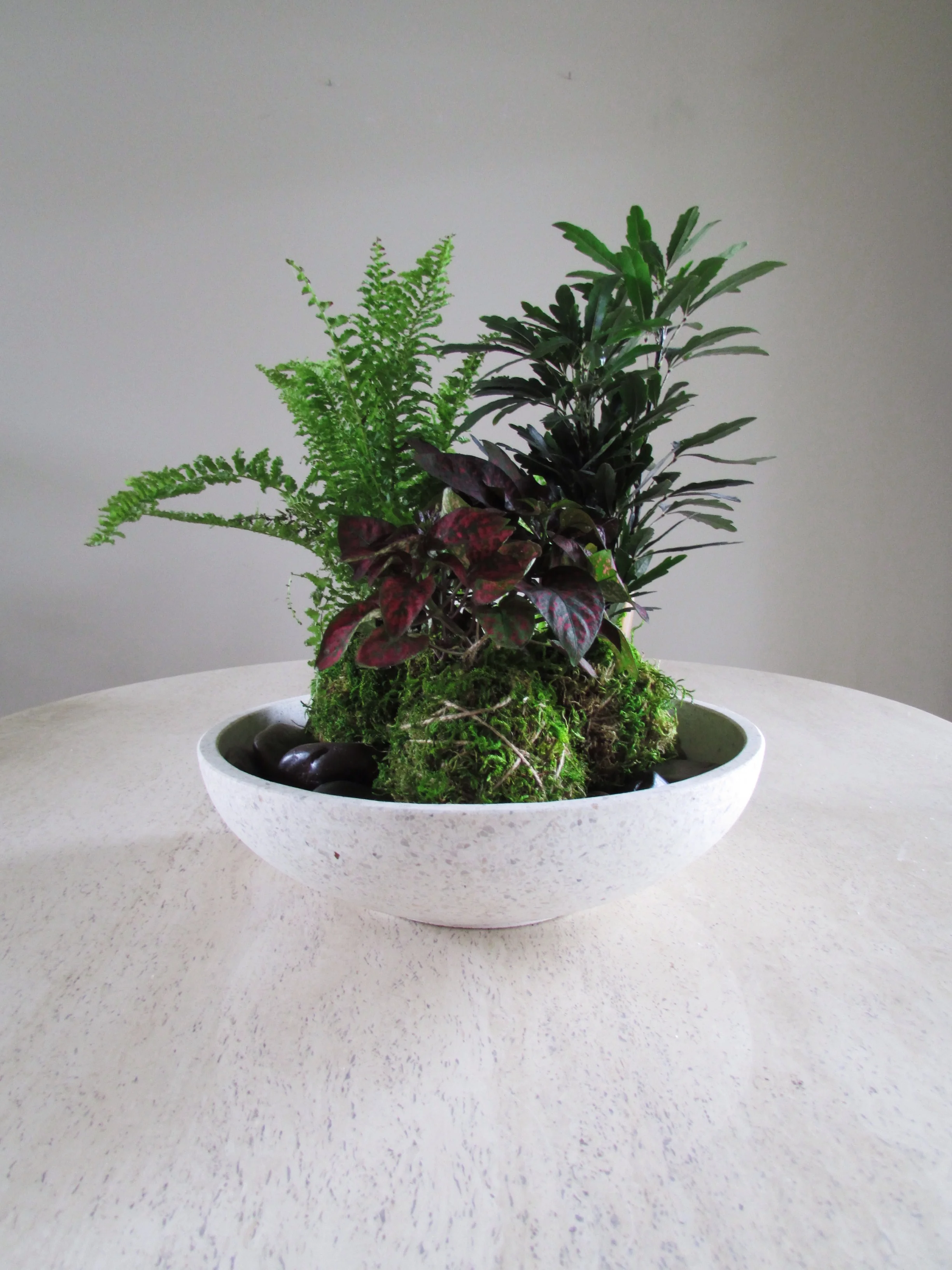 Kokedama Centerpice