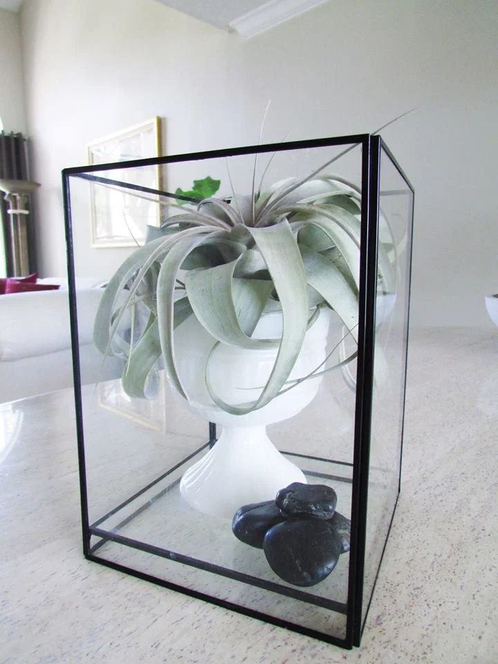 Glass Terrarium with Centerpiece Vase
