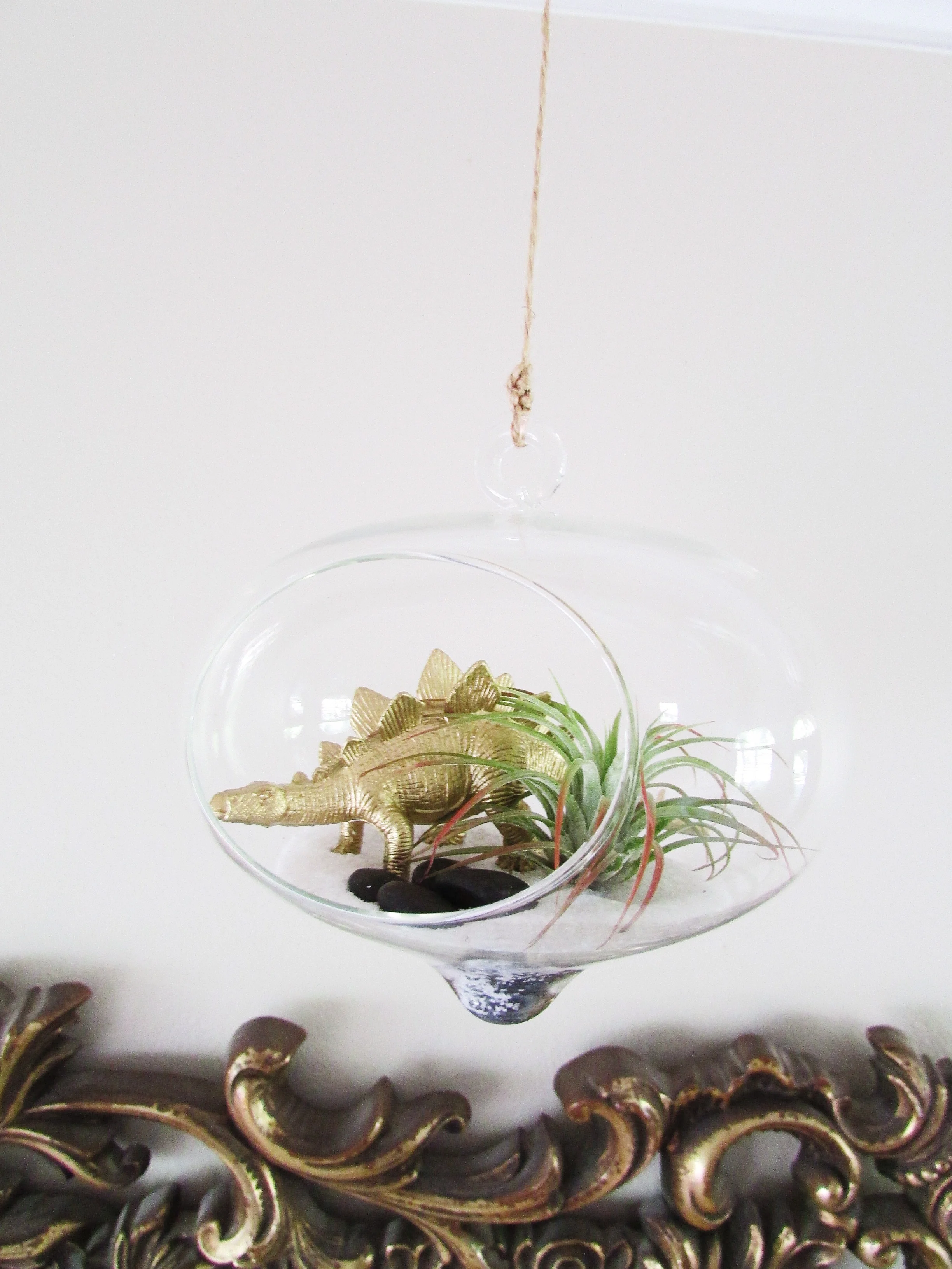 Drip Globe Air Plant Terrarium Kit