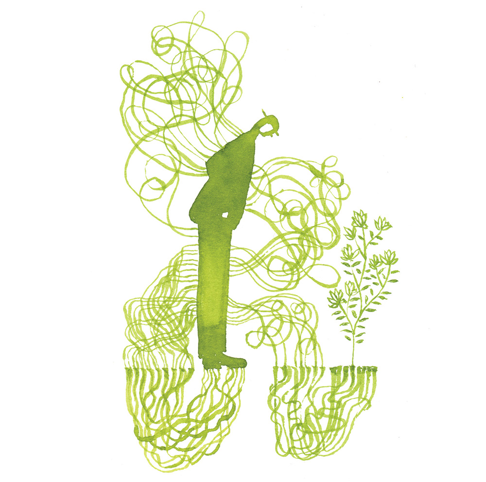 Roots_web.jpg
