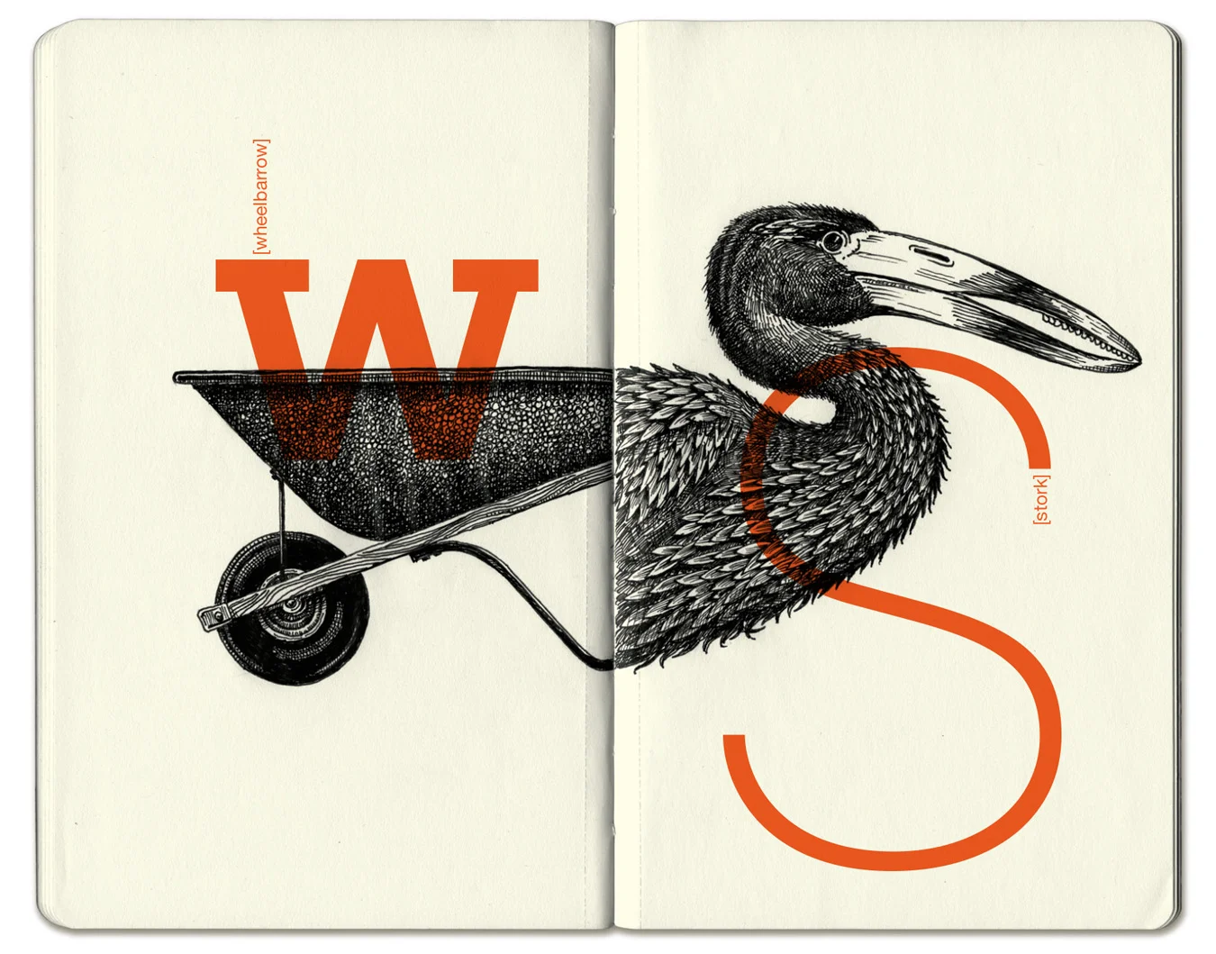 Stork2.jpg