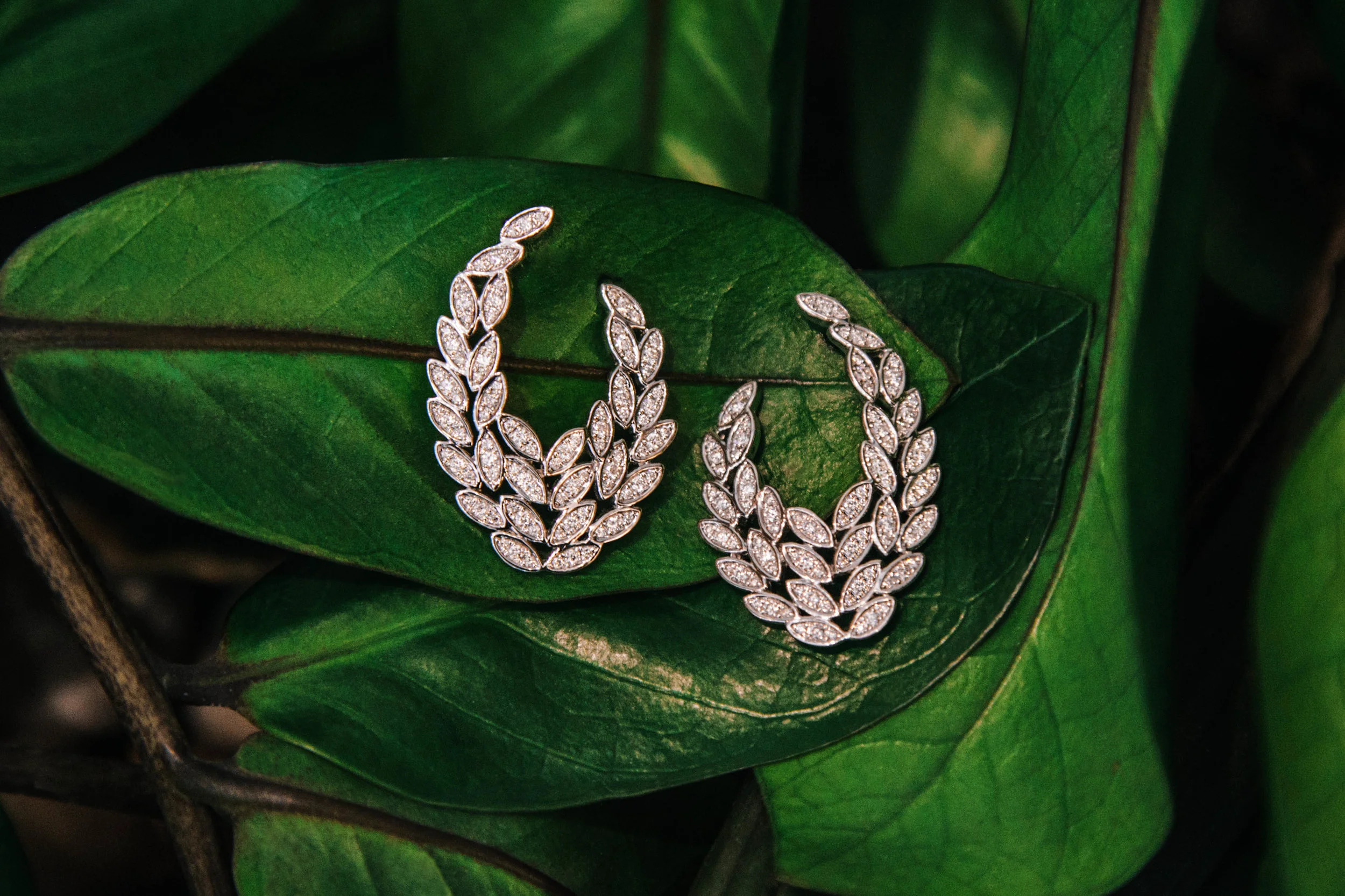 Leafy Earrings-1.jpg