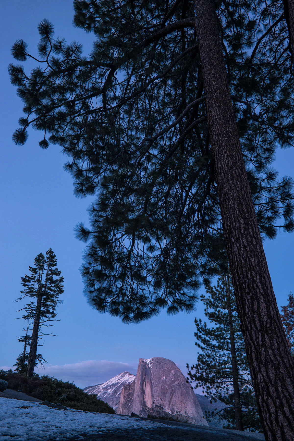 Wasim Muklashy_Twilight Tops The Dome.jpg