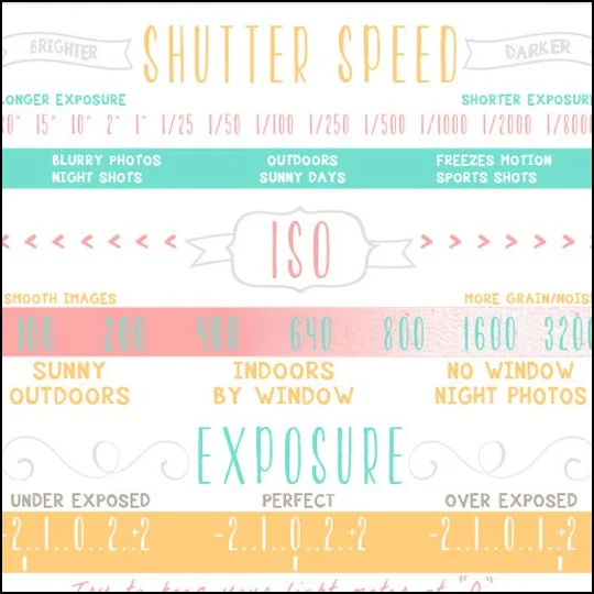 DPS Infographics for Photographers