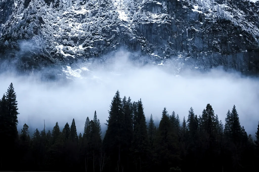 Thank You To Photo LA & ASMP Los Angeles For A Successful Show!