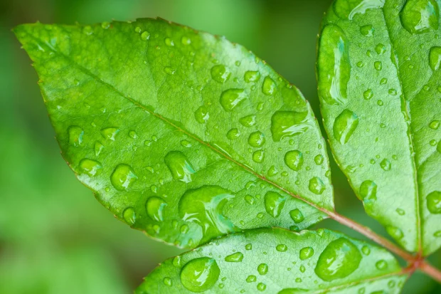 My First Month With My New Number 1 - The Samsung NX1!