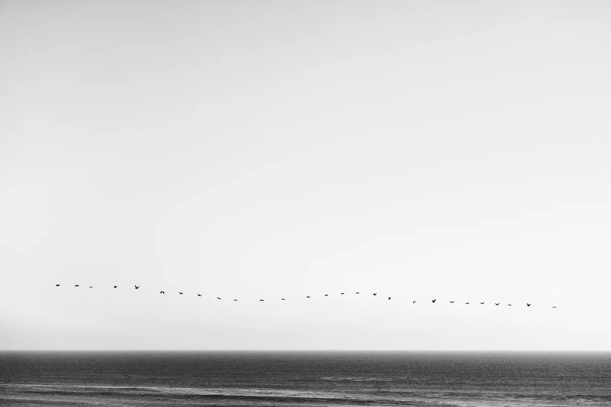 Happy New Year! I'm Going To Be At ASMP Photo LA - Come Say Hey!