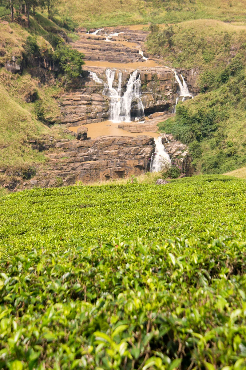 Nuwara Eliya, Sri Lanka, Wasim Muklashy Photography, Wasim of Nazareth