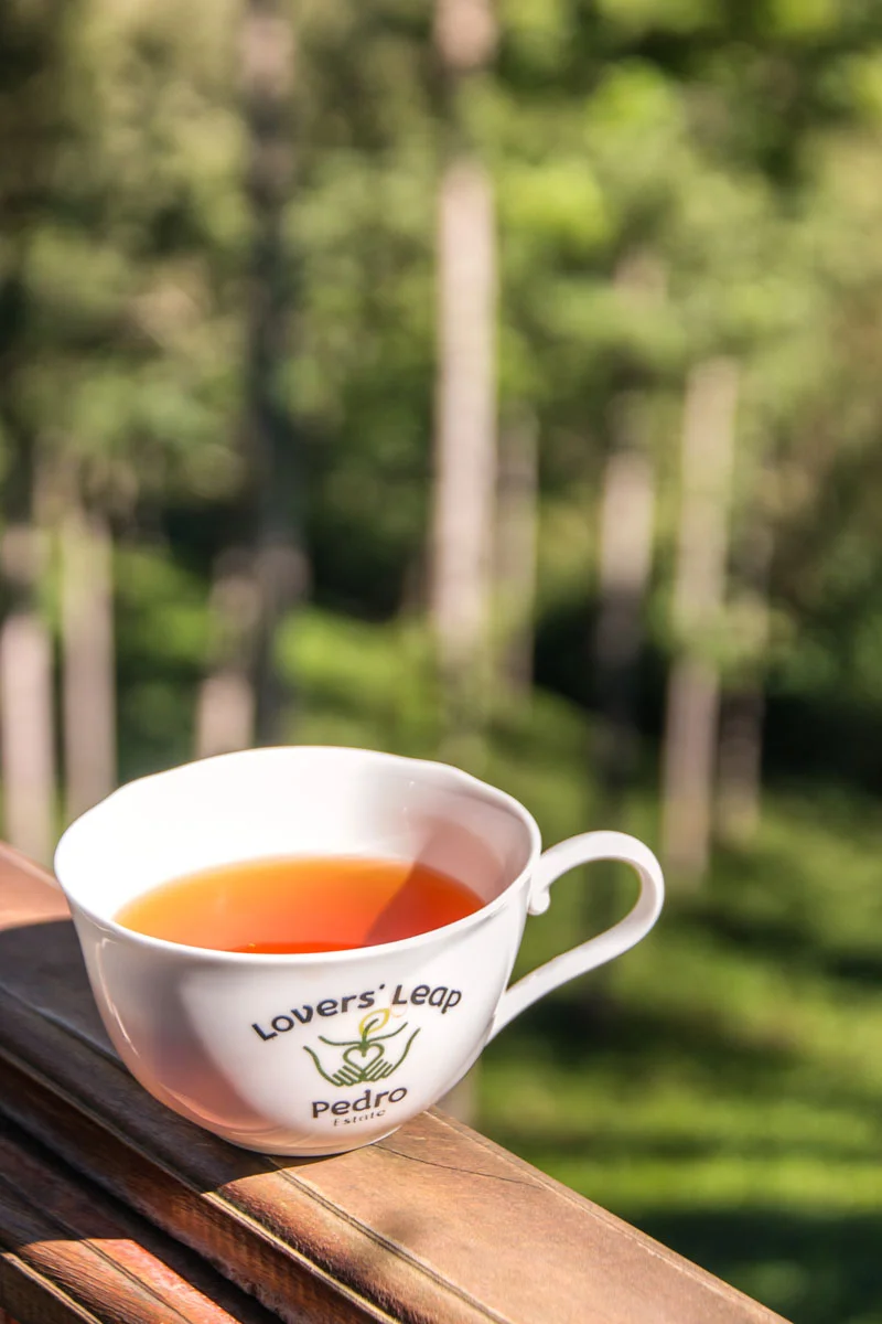 Pedro Tea Estate, Nuwara Eliya, Sri Lanka, Wasim Muklashy Photography, Wasim of Nazareth