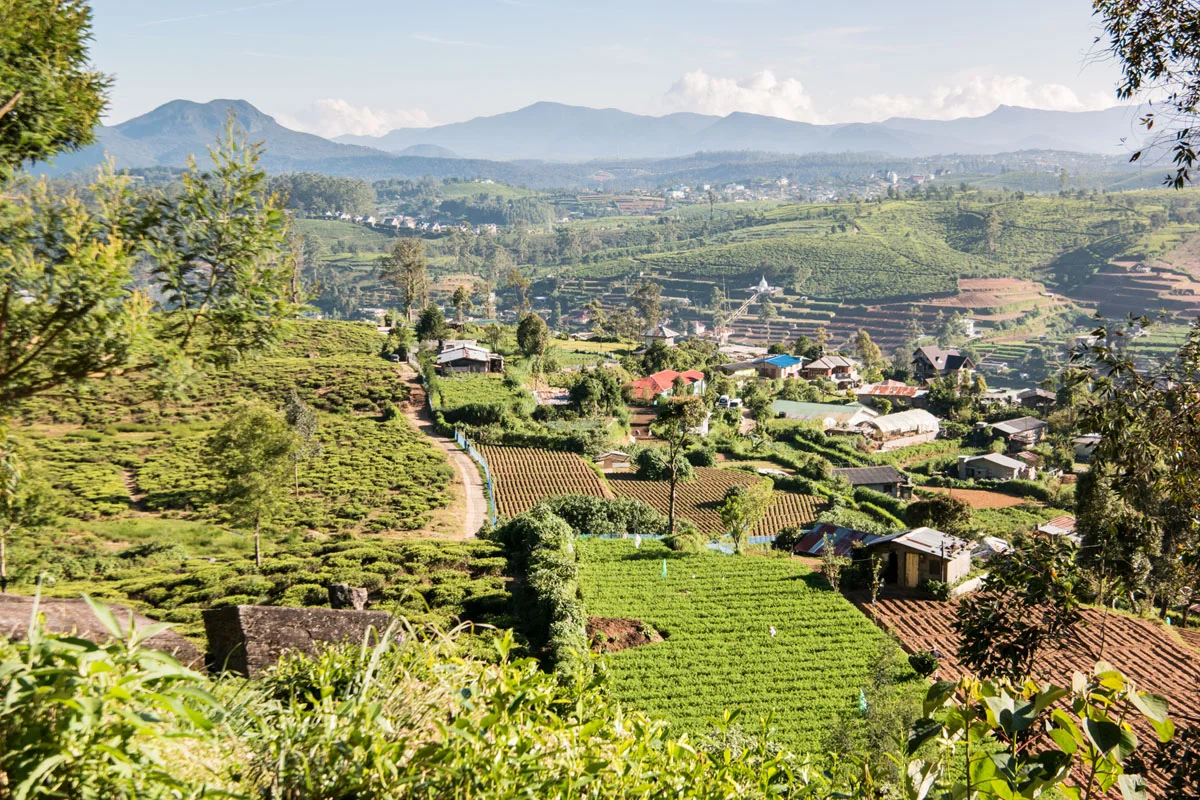 Nuwara Eliya, Sri Lanka, Wasim Muklashy Photography, Wasim of Nazareth