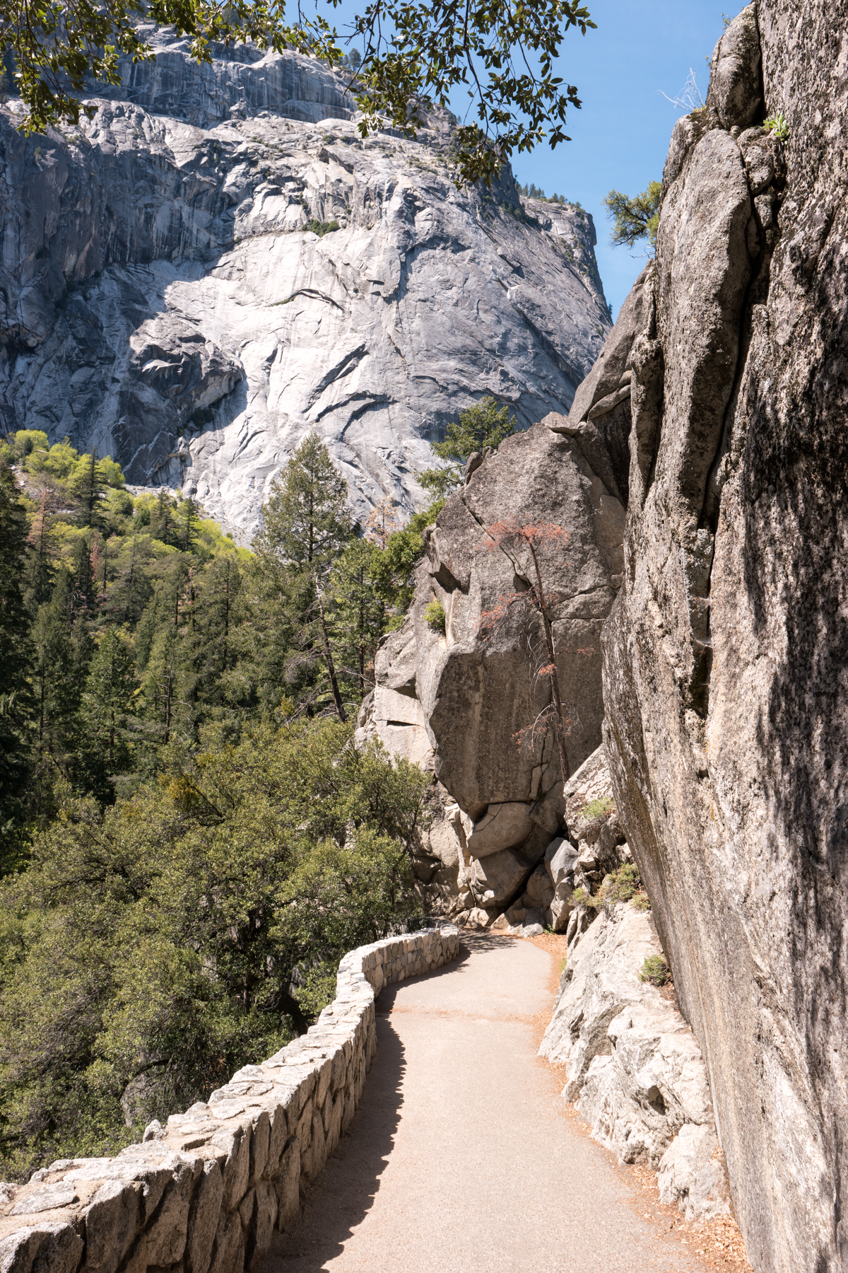 Wasim Muklashy Photography_April 2015_Yosemite_California_Samsung NX1_ SAM_1736_1800px.jpg