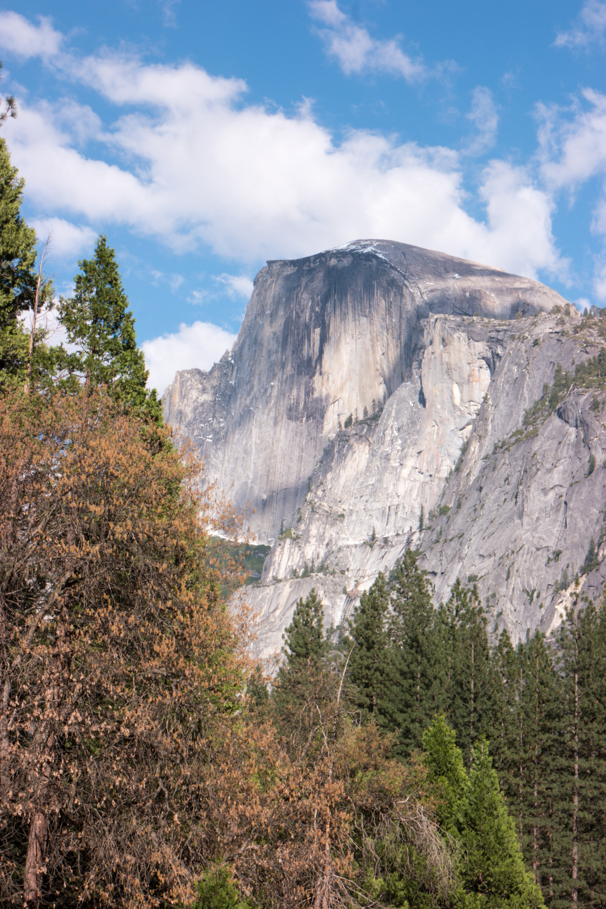 Wasim Muklashy Photography_April 2015_Yosemite_California_Samsung NX1_ SAM_1808_1800px.jpg
