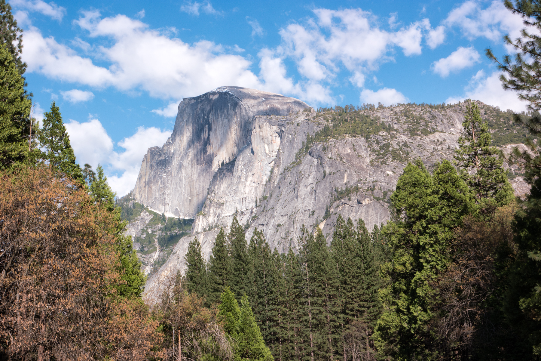 Wasim Muklashy Photography_April 2015_Yosemite_California_Samsung NX1_ SAM_1814_1800px.jpg