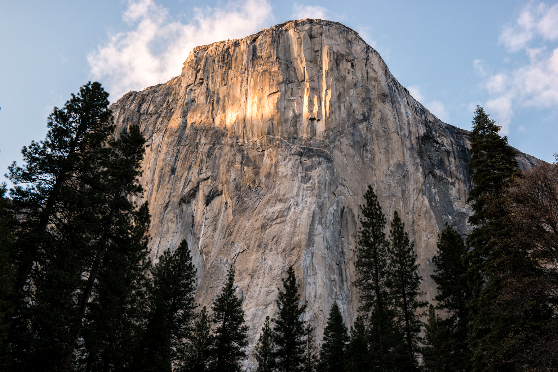 Wasim Muklashy Photography_April 2015_Yosemite_California_Samsung NX1_ SAM_8068_1800px.jpg