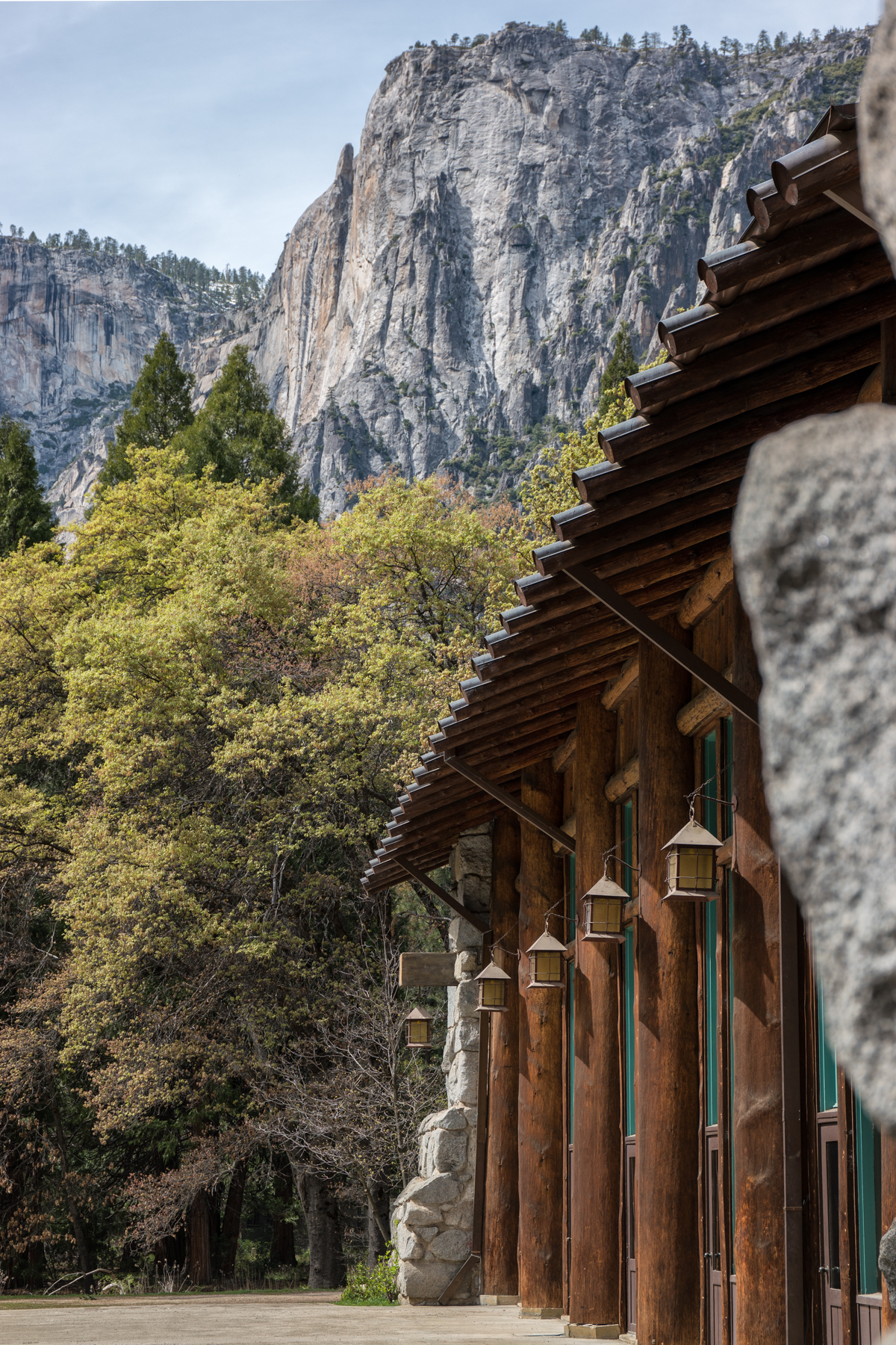 Wasim Muklashy Photography_April 2015_Yosemite_California_Samsung NX1_ SAM_8122_1800px.jpg