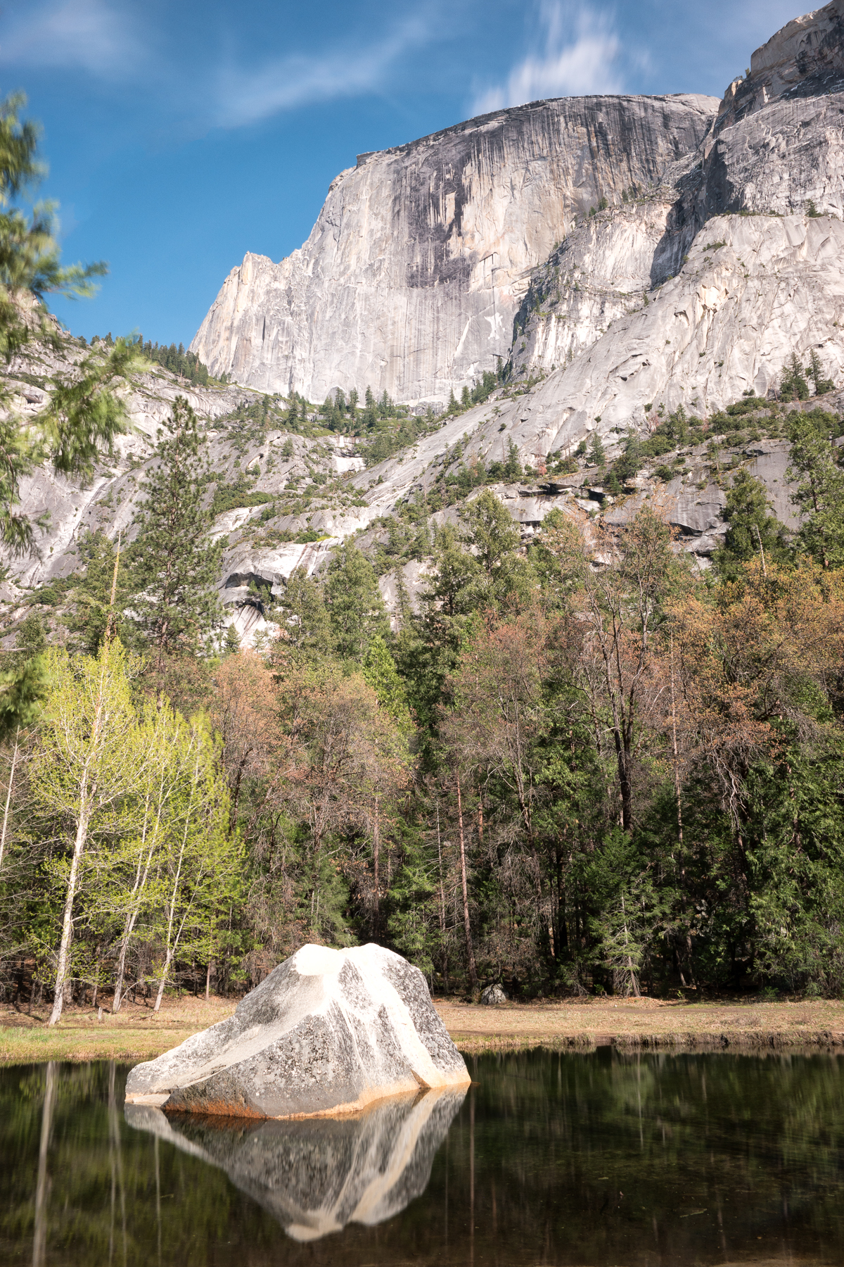 Wasim Muklashy Photography_April 2015_Yosemite_California_Samsung NX1_ SAM_8150_1800px.jpg