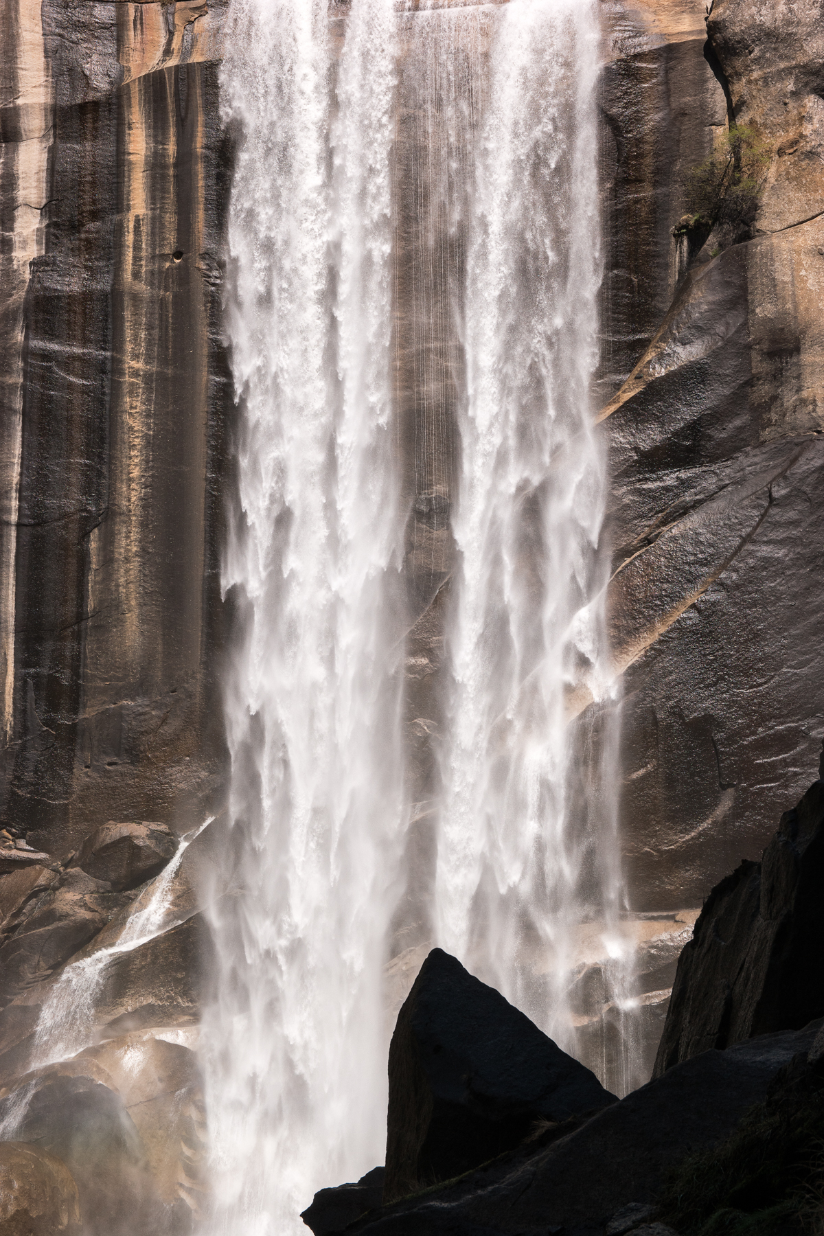 Wasim Muklashy Photography_April 2015_Yosemite_California_Samsung NX1_ SAM_8169_1800px.jpg