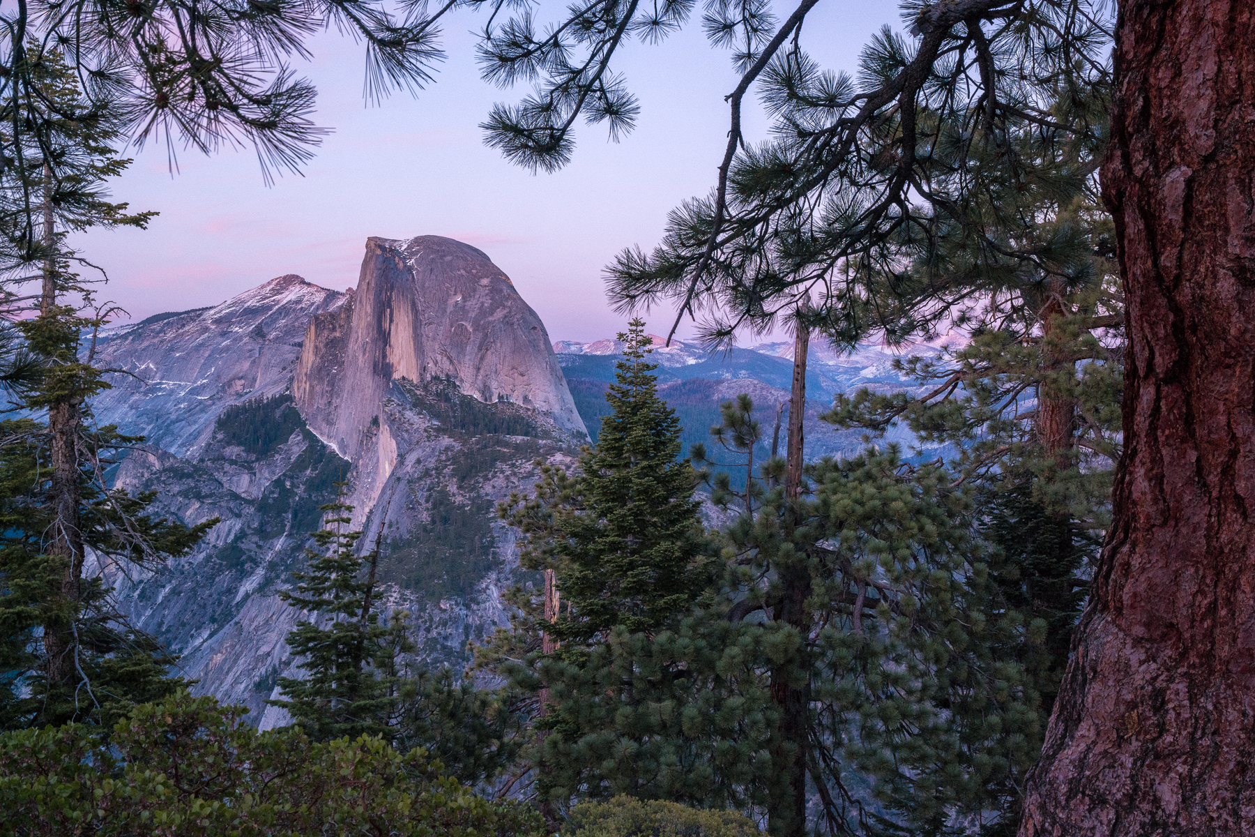 Wasim Muklashy Photography_April 2015_Yosemite_California_Samsung NX1_ SAM_8373_1800px.jpg