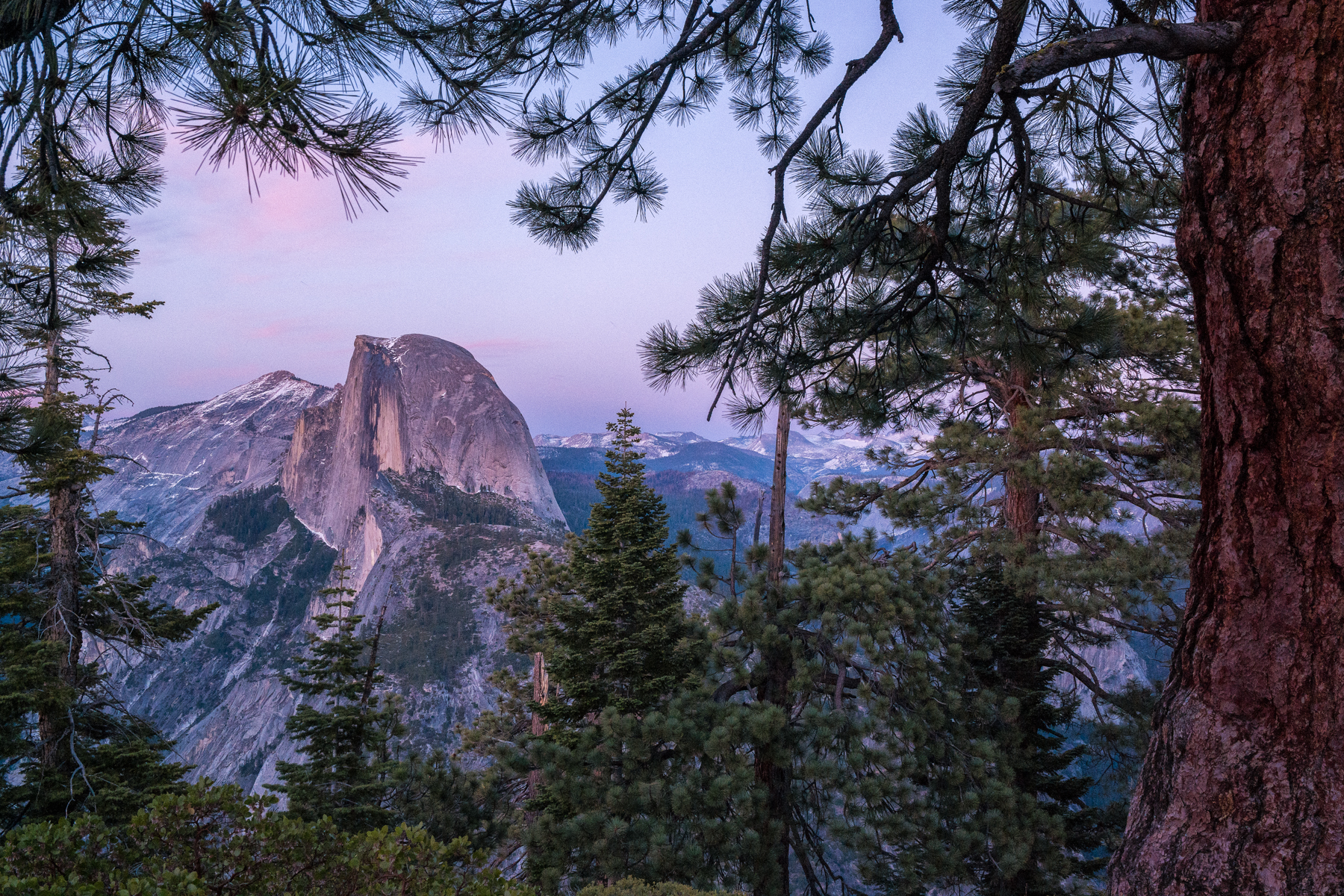 Wasim Muklashy Photography_April 2015_Yosemite_California_Samsung NX1_ SAM_8379_1800px.jpg