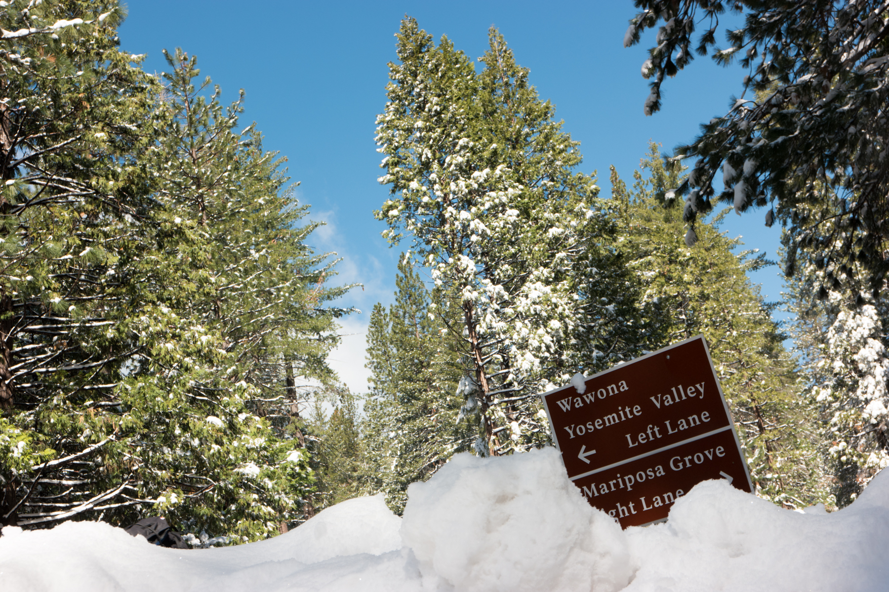 Wasim Muklashy Photography_April 2015_Yosemite_California_Samsung NX500_ SAM_1629_1800px.jpg