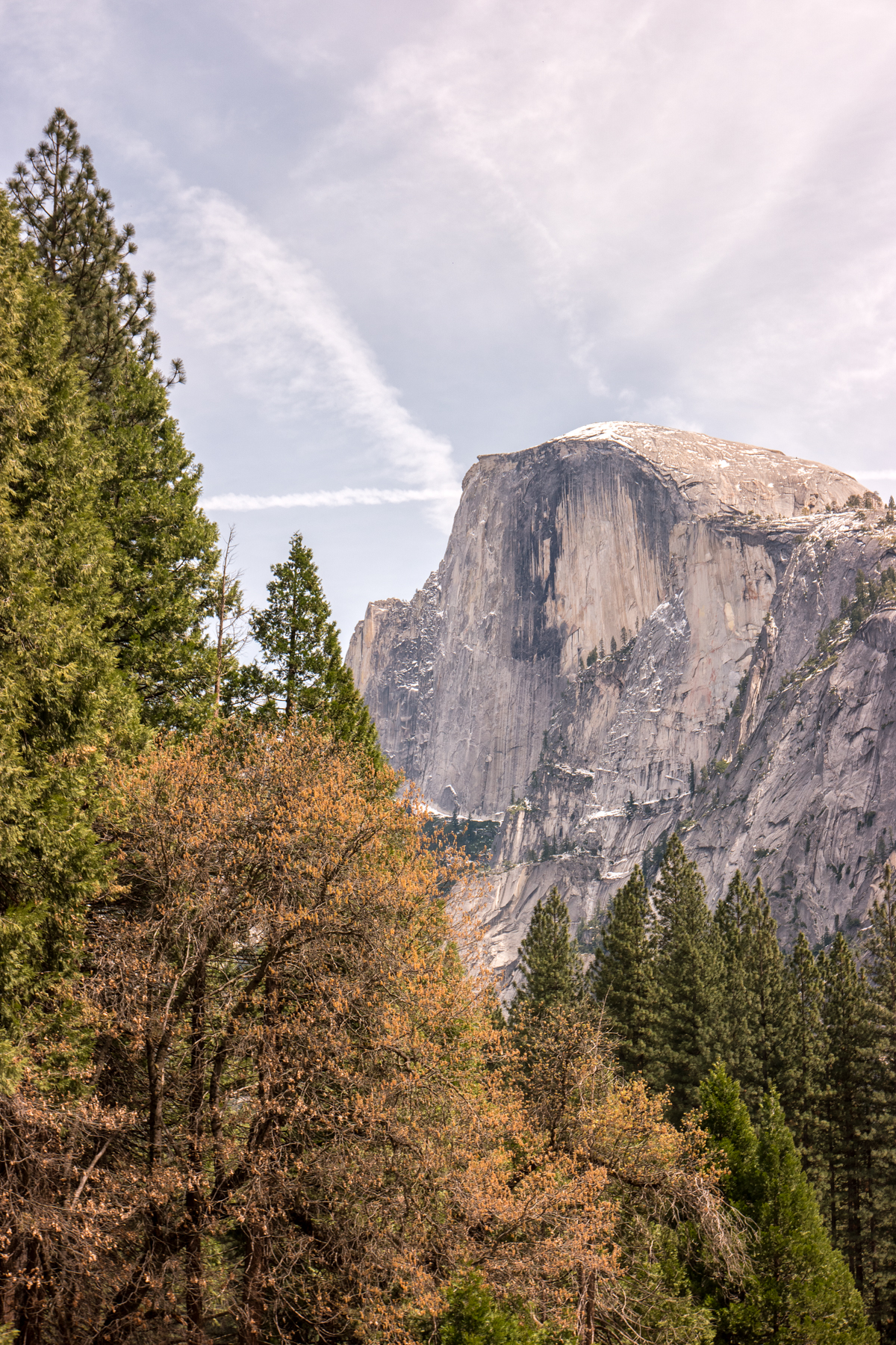 Wasim Muklashy Photography_April 2015_Yosemite_California_Samsung NX500_ SAM_1640_1800px.jpg
