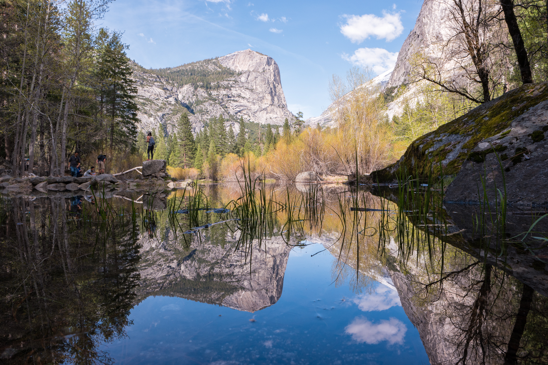 Wasim Muklashy Photography_April 2015_Yosemite_California_Samsung NX500_ SAM_1645_1800px.jpg