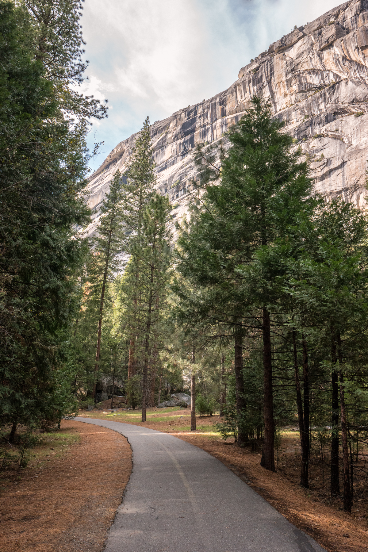 Wasim Muklashy Photography_April 2015_Yosemite_California_Samsung NX500_ SAM_1674_1800px.jpg