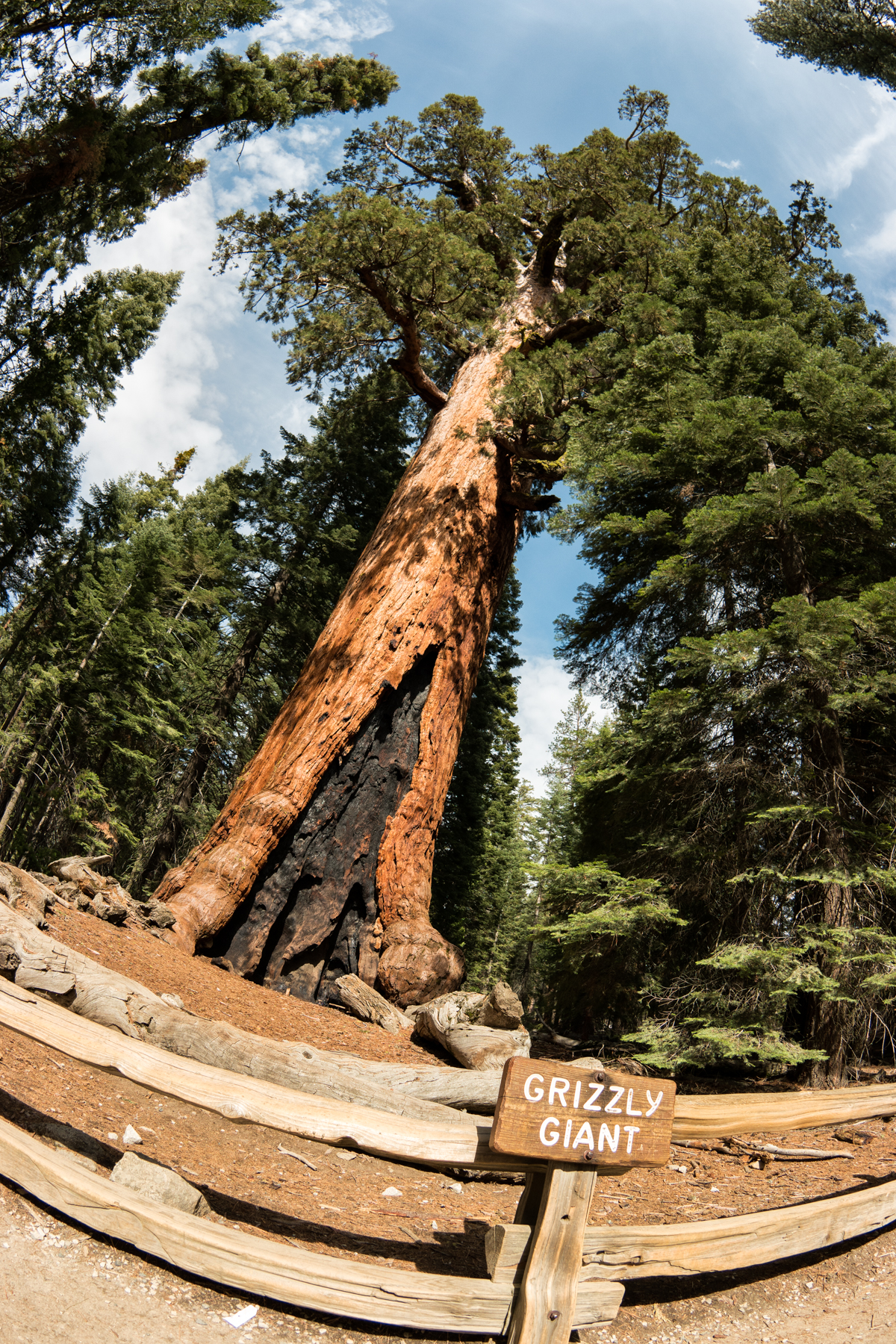 Wasim Muklashy Photography_April 2015_Yosemite_California_Samsung NX500_ SAM_2044-Edit-2.jpg
