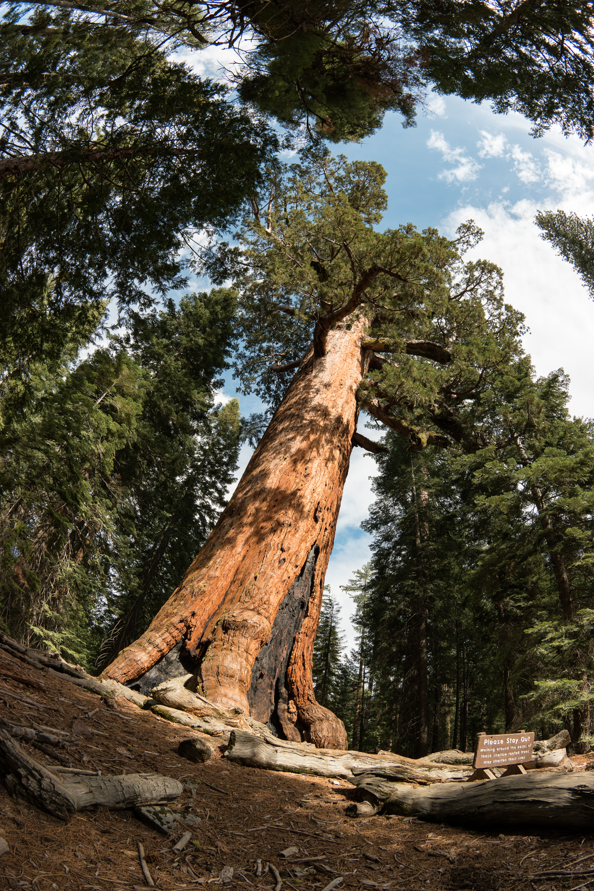 Wasim Muklashy Photography_April 2015_Yosemite_California_Samsung NX500_ SAM_2056-Edit-2.jpg