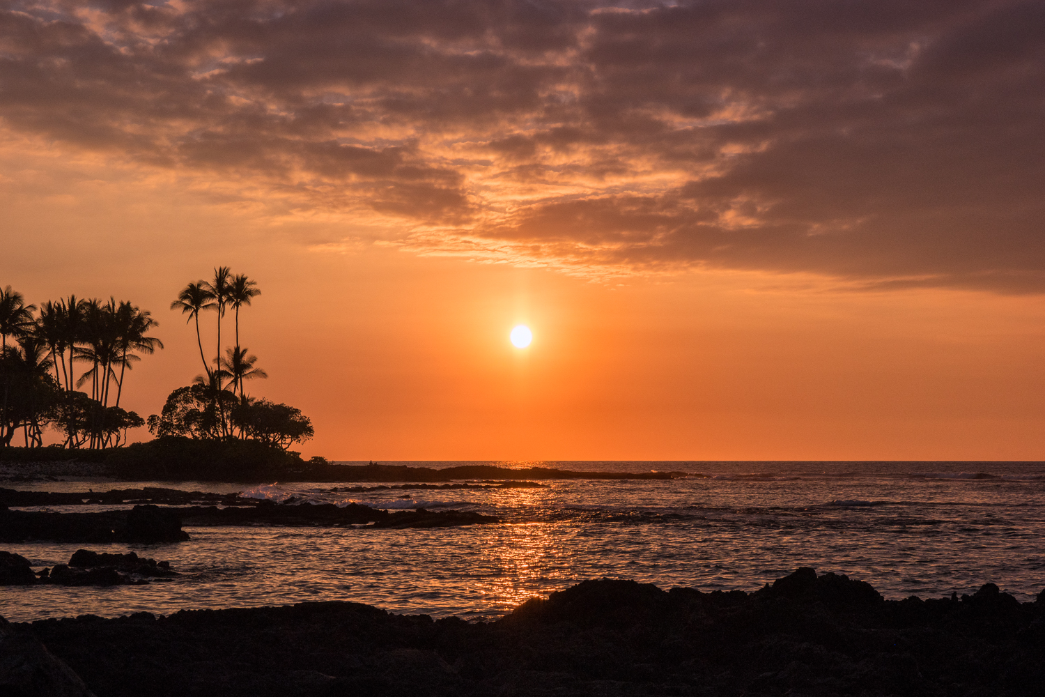 Wasim Muklashy Photography_Samsung NX500_16-50mm S_Hawaii_031415_ SAM_1497_1500px.jpg