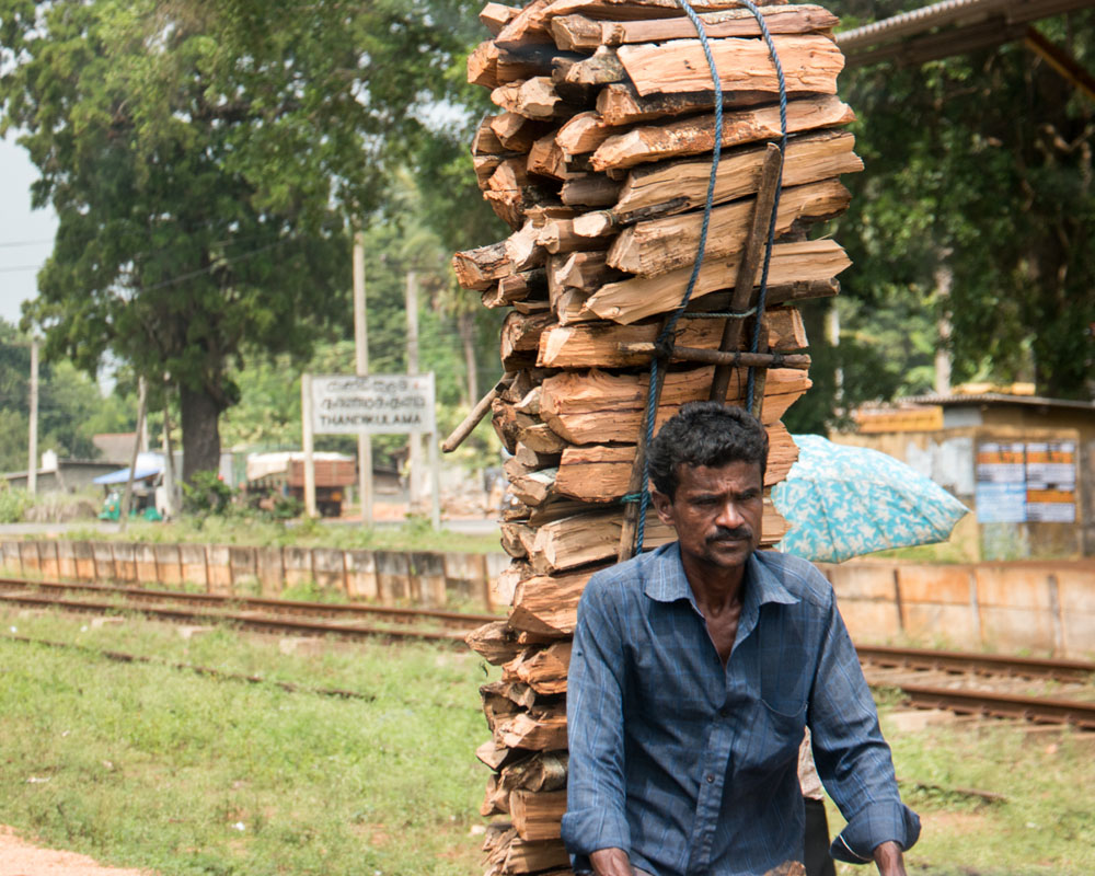 Vavuniya, Sri Lanka, Wasim Muklashy Photography, Wasim of Nazareth