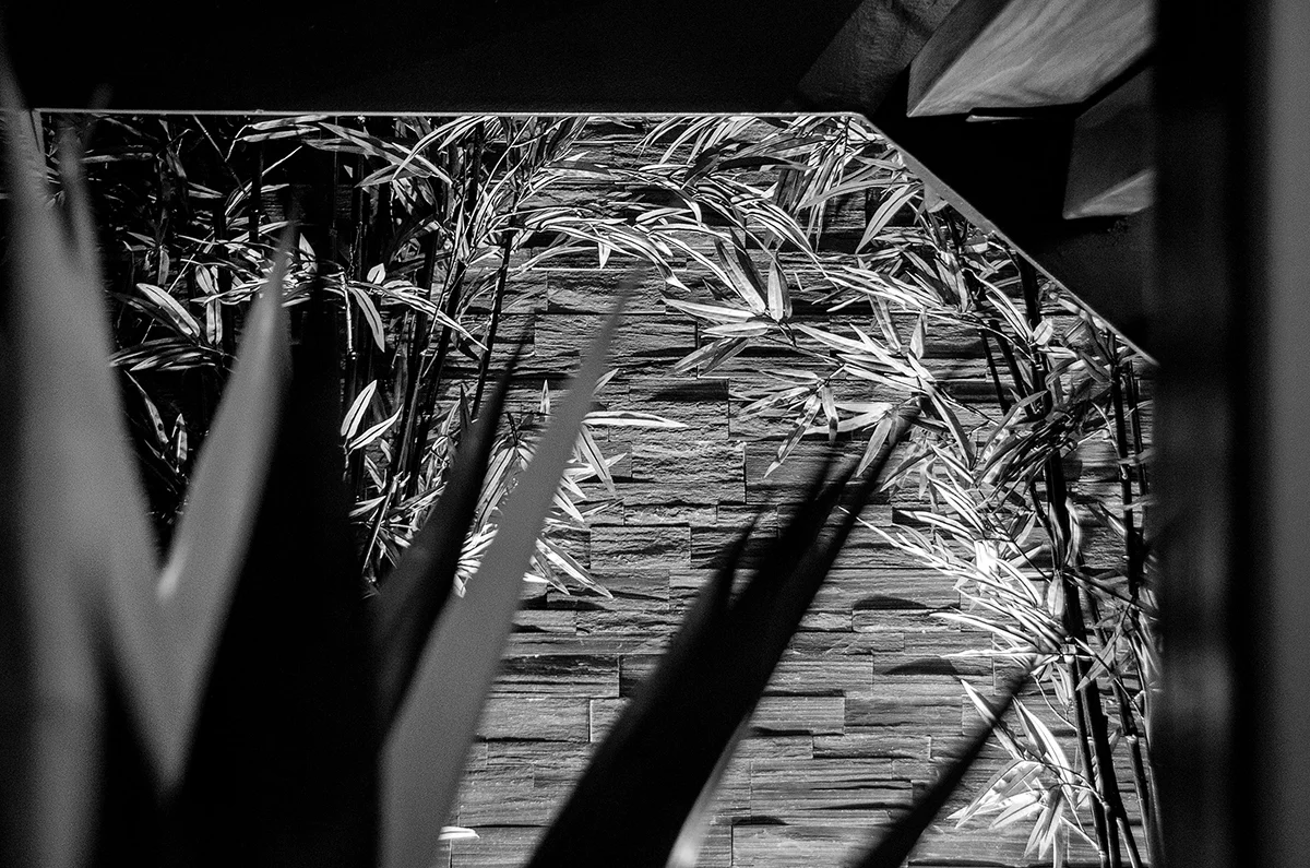 Wasim-Muklashy-Real-Estate-Photography_Jun-Cha_Monarc-Studio_7.jpg