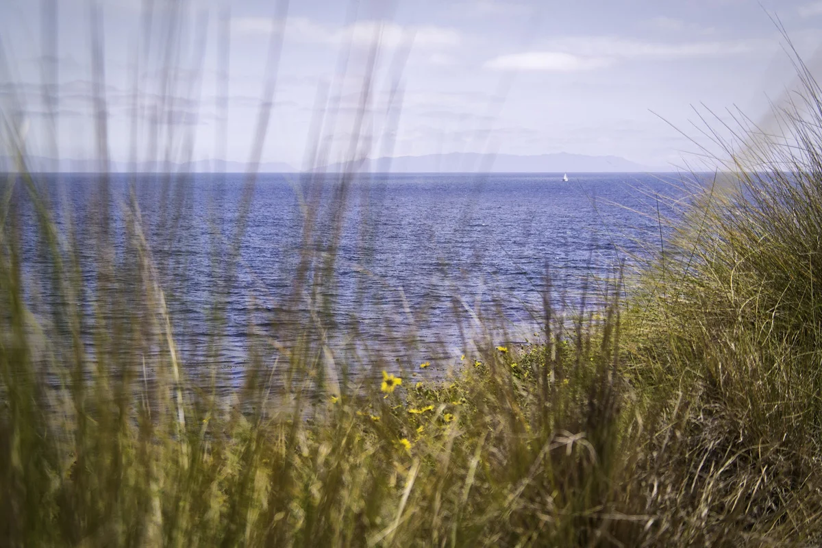Wasim_Muklashy_NX30_Terranea_Palos_Verdes_CA_SAM_3965_2400.jpg