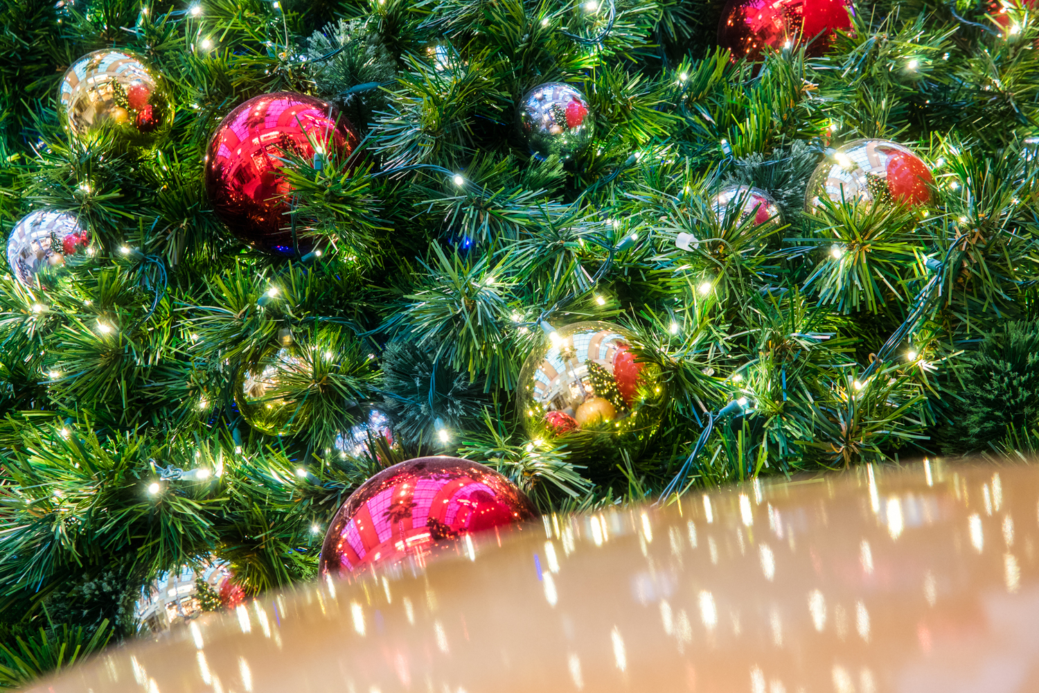 6 Best Cameras For Budding Photographers