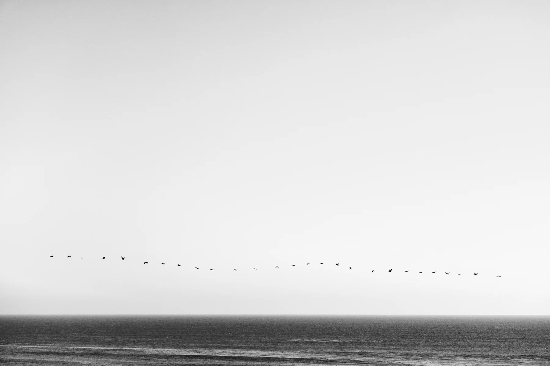 5 Black & White Photography Tips I Learned While Taking The Black & White Photography Challenge