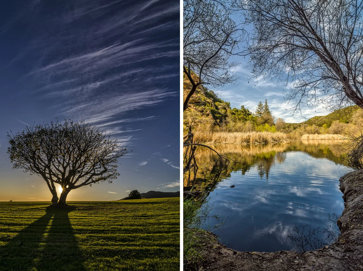 I Win I Win!! (Sort of...) - The Results (And Lessons) Of My First Ever Photo Contest