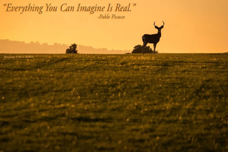 A Monday Motivational Kick In The Yahoo – September 29, 2014