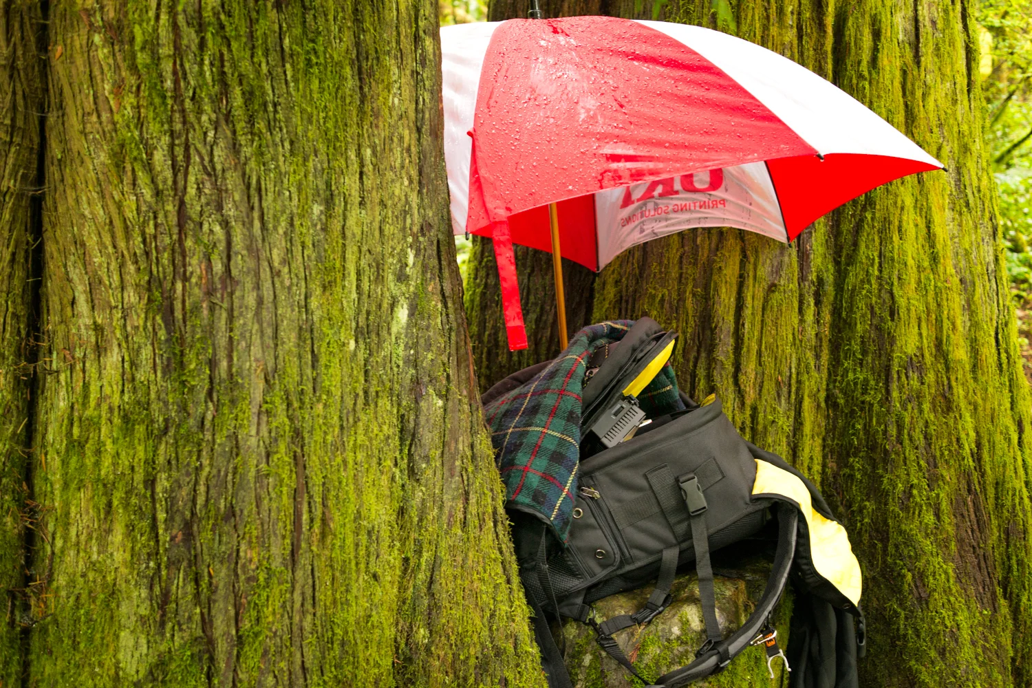 I’ve Finally Assembled My Perfect Hiking And Backpacking Camera Kit