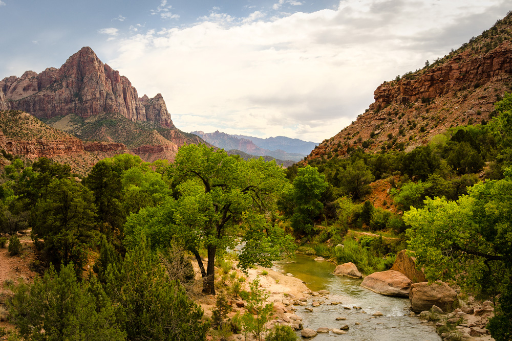 Wasim Muklashy Photography_Zion National Park_Utah_01.jpg