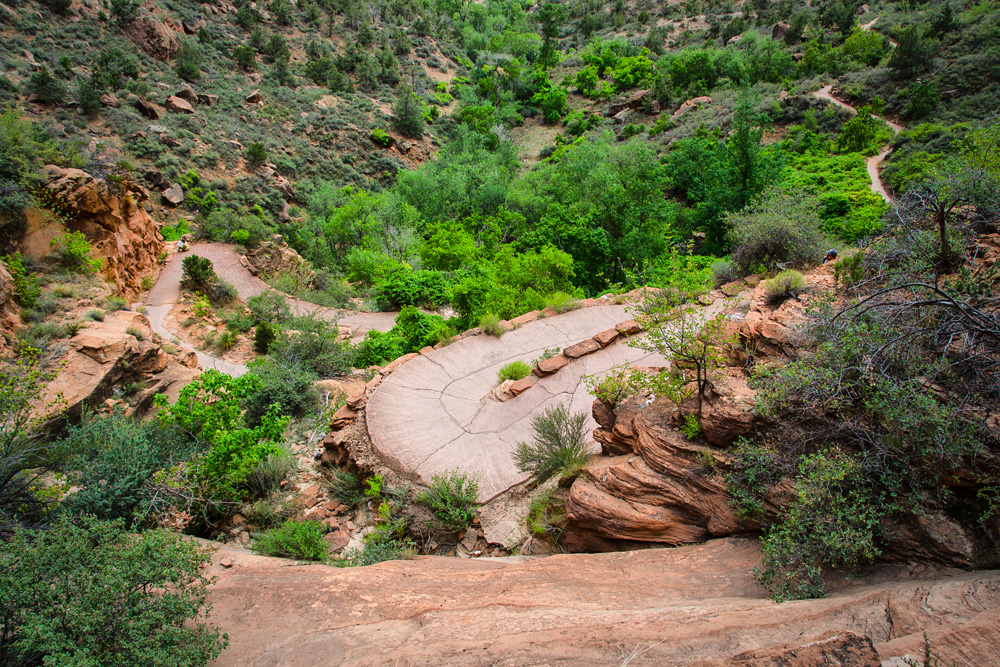 Wasim Muklashy Photography_Zion National Park_Utah_05.jpg