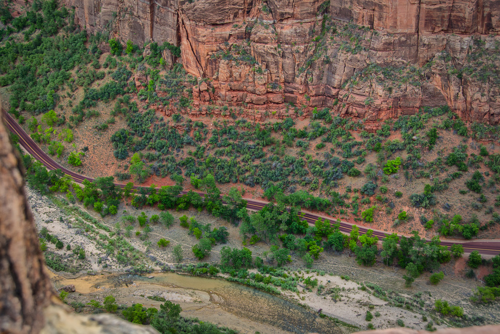 Wasim Muklashy Photography_Zion National Park_Utah_09.jpg