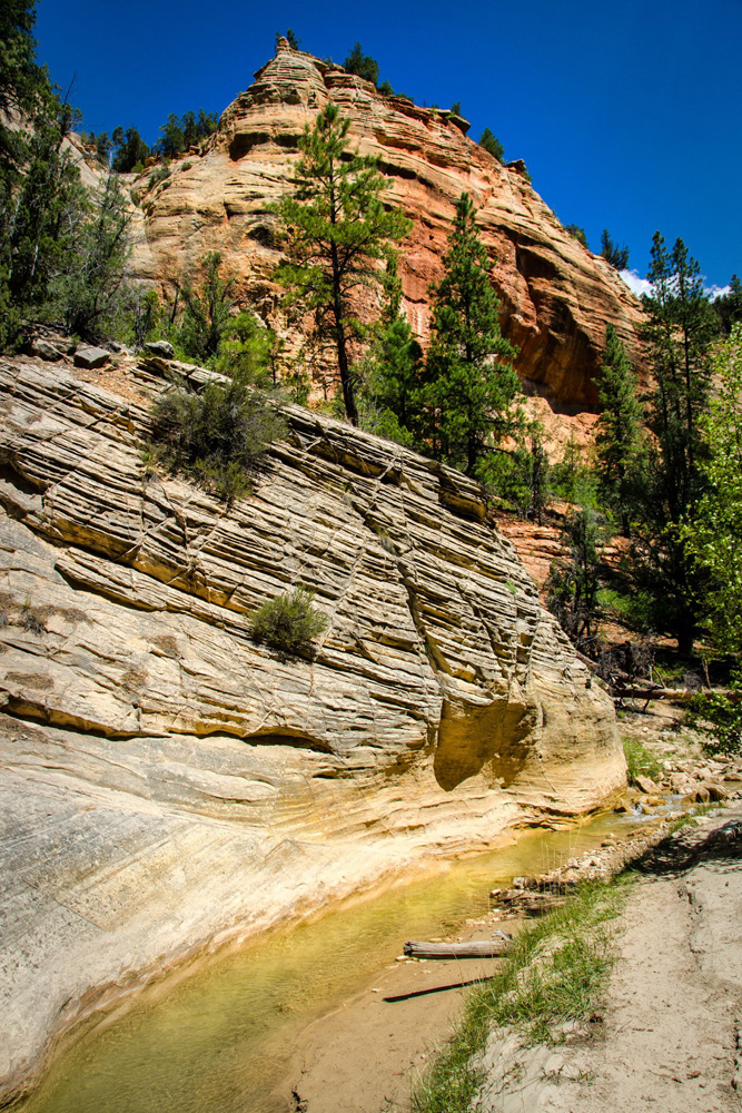 Wasim Muklashy Photography_Zion National Park_Utah_The Narrows_02.jpg