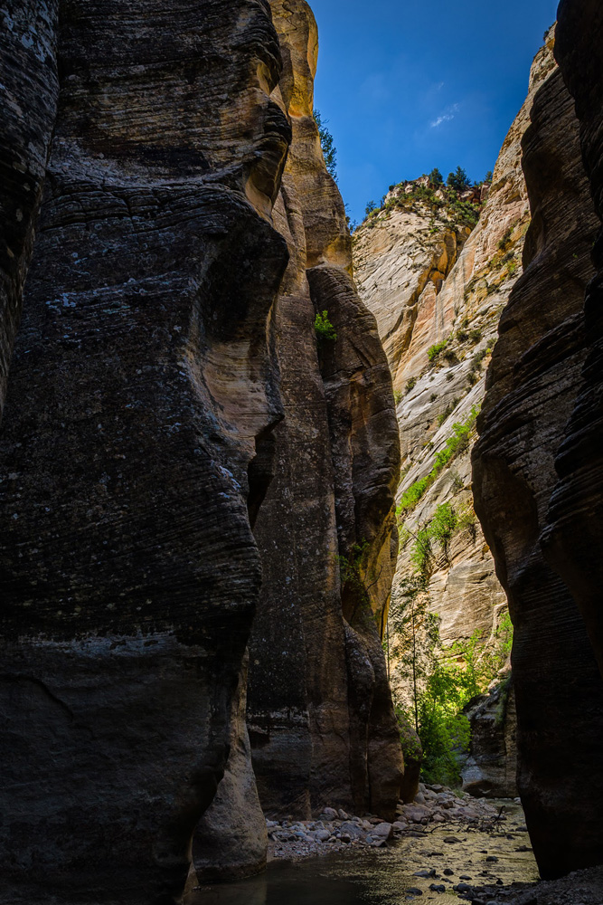 Wasim Muklashy Photography_Zion National Park_Utah_The Narrows_03.jpg