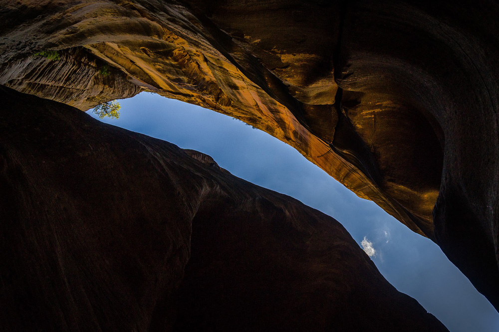 Wasim Muklashy Photography_Zion National Park_Utah_The Narrows_07.jpg