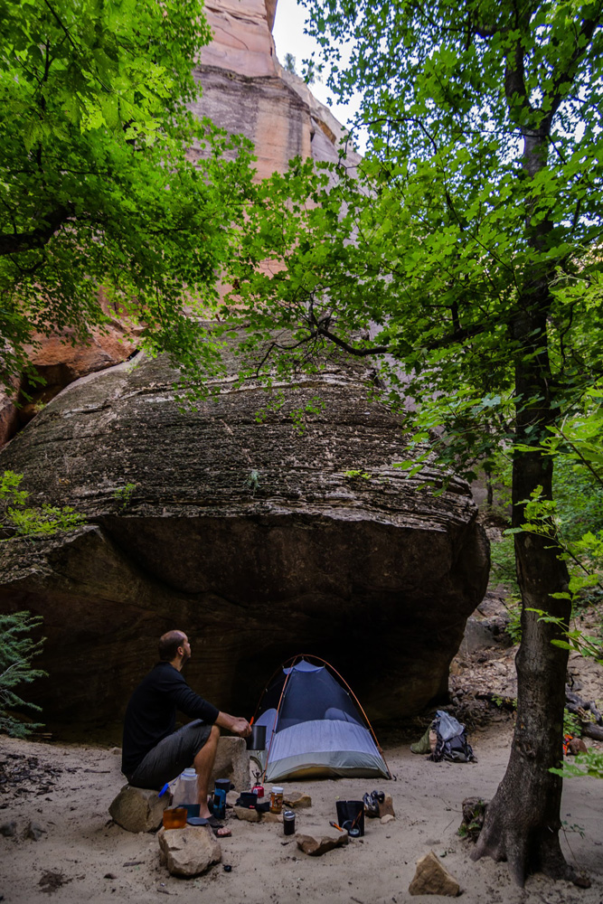 Wasim Muklashy Photography_Zion National Park_Utah_The Narrows_09.jpg